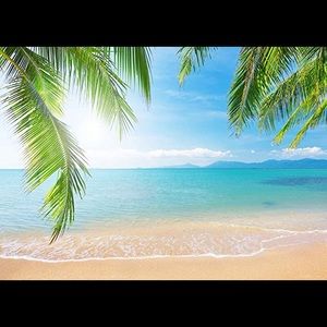 Meet your Posher, Pam